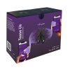 We-Vibe Tease Us Moxie/Moxie Panty Vibe Special Edition Set - Black