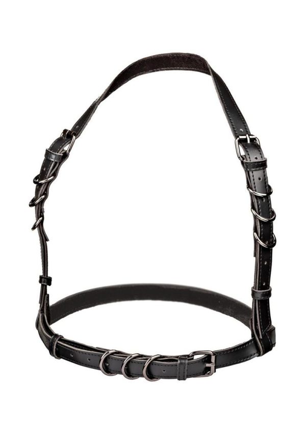 Euphoria Collection Halter Buckle Harness - Black