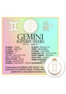 Warm Human Zodiac Gemini