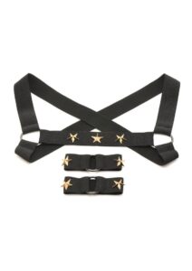 Master Series Rave Harness Elastic Chest Harness with Arm Bands - Small/Medium - Black/Gold