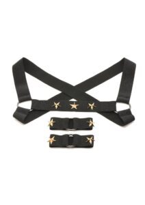 Master Series Rave Harness Elastic Chest Harness with Arm Bands - Large/Xlarge - Black/Gold