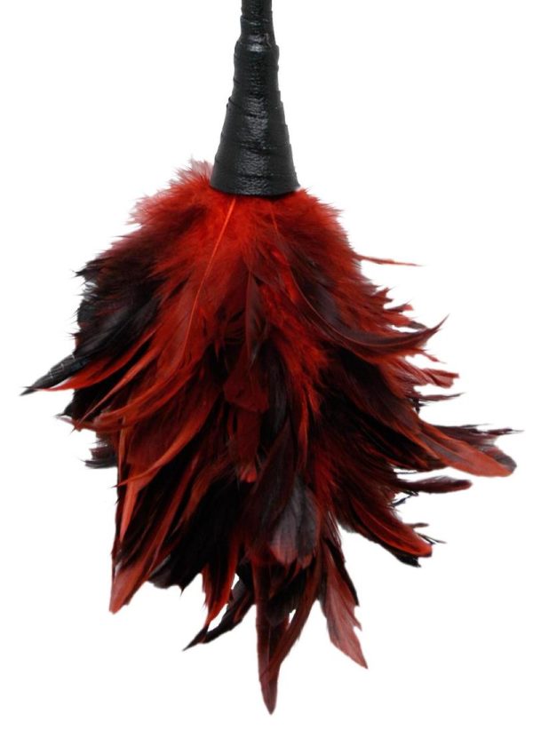 Fetish Fantasy Series Frisky Feather Duster Red