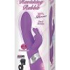 Ravishing Rabbit Silicone Rechargeable Vibrator - Purple