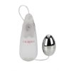 Pocket Exotics Vibrating Silver Egg - Silver