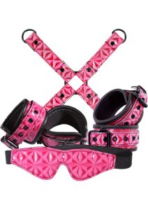 Sinful Bondage Vinyl Kit (Set of 4) - Pink