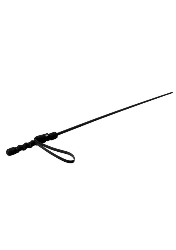 Mistress By Isabella Sinclaire Intense Impact Cane - Black