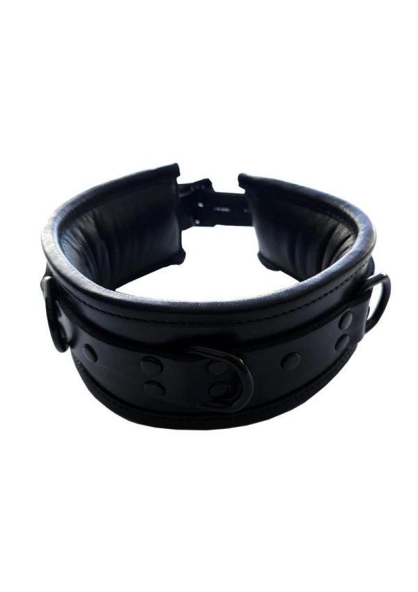 Padded Leather Collar - Black